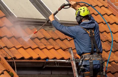 Démoussage et hydrofuge de toiture à Lemps